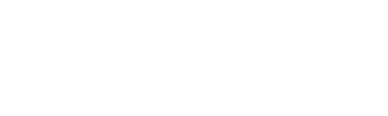 שרתים ושיווק White Logo